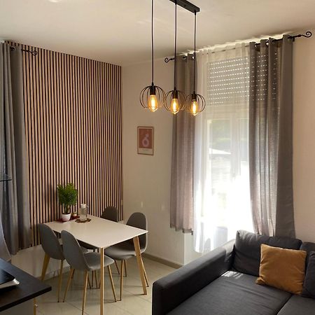 Schoenes Apartment Am Rhein - Zentral Koblenz  Luaran gambar